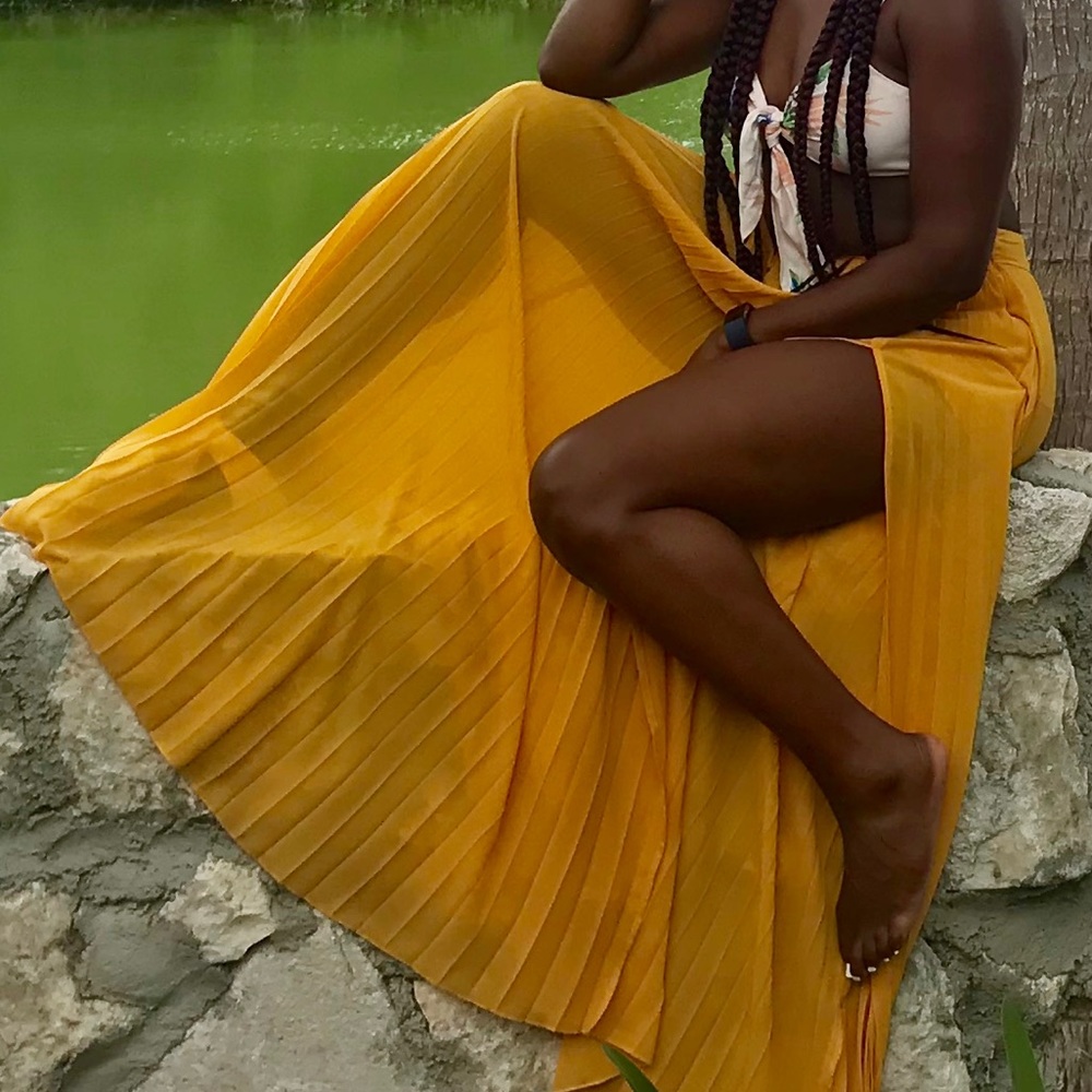 Pleated sheer high waisted skirt - Picture 2 of 11
